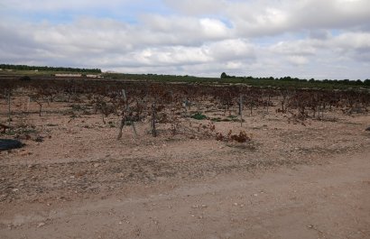 Herverkoop - Perceel / Grond - Yecla