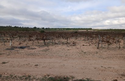 Herverkoop - Perceel / Grond - Yecla