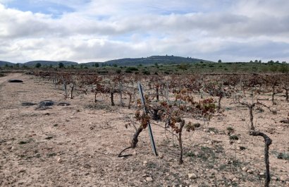 Herverkoop - Perceel / Grond - Yecla