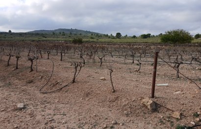 Herverkoop - Perceel / Grond - Yecla