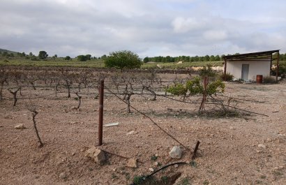 Herverkoop - Perceel / Grond - Yecla