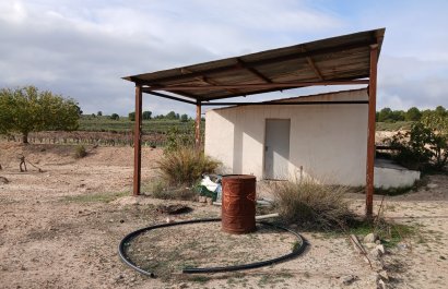 Herverkoop - Perceel / Grond - Yecla