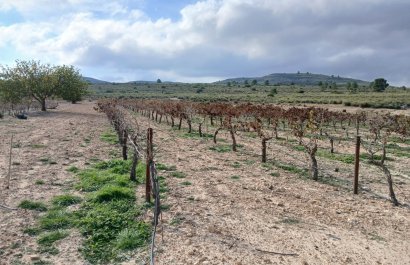 Herverkoop - Perceel / Grond - Yecla