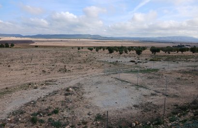 Herverkoop - Perceel / Grond - Yecla