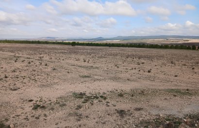 Herverkoop - Perceel / Grond - Yecla