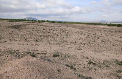 Herverkoop - Perceel / Grond - Yecla