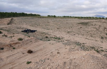 Herverkoop - Perceel / Grond - Yecla