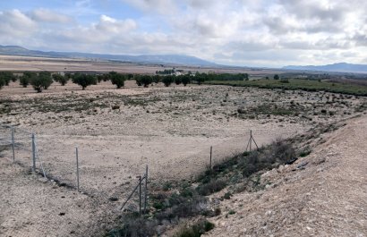 Herverkoop - Perceel / Grond - Yecla