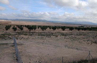 Herverkoop - Perceel / Grond - Yecla