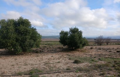 Reventa - Parcela / Terreno - Yecla