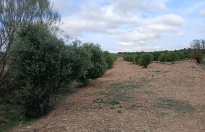 Reventa - Parcela / Terreno - Yecla