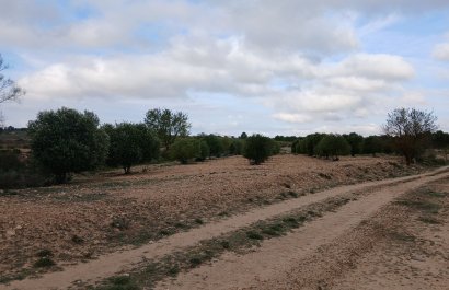 Reventa - Parcela / Terreno - Yecla