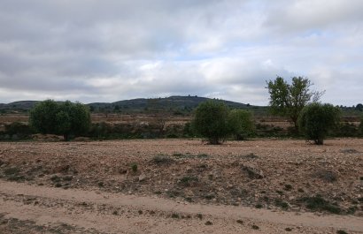 Reventa - Parcela / Terreno - Yecla