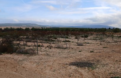 Reventa - Parcela / Terreno - Yecla