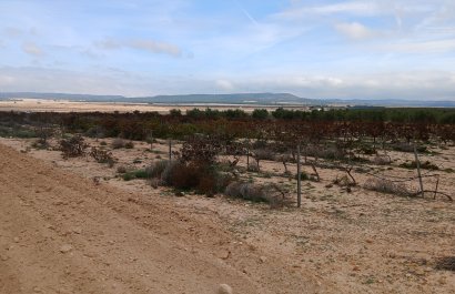 Reventa - Parcela / Terreno - Yecla