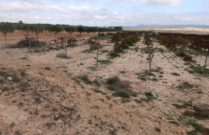 Reventa - Parcela / Terreno - Yecla