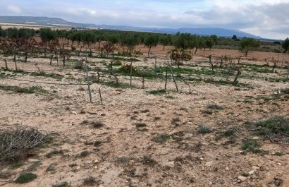 Reventa - Parcela / Terreno - Yecla