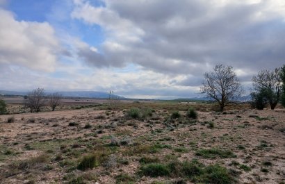 Reventa - Parcela / Terreno - Yecla