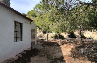 Resale - Country House - Fortuna