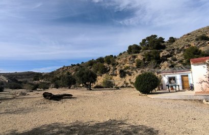 Resale - Country House - Fortuna