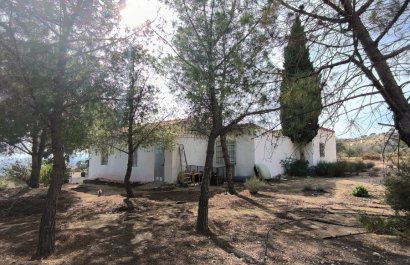 Resale - Country House - Fortuna