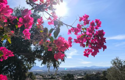 Resale - Country House - Fortuna