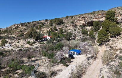 Resale - Country House - Fortuna