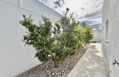 New Build - Villa - Benijofar