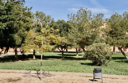 Resale - Apartment / flat - Torrevieia - Aguas Nuevas