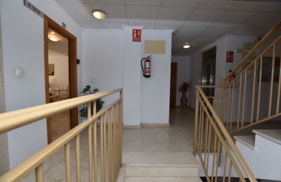 Reventa - Apartamento / piso - Algorfa