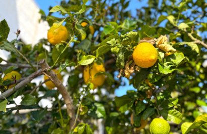 Resale - Villa - Orihuela Costa - Villamartín