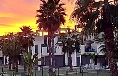 Resale - Apartment / flat - Guardamar del Segura - Guardamar - El Raso