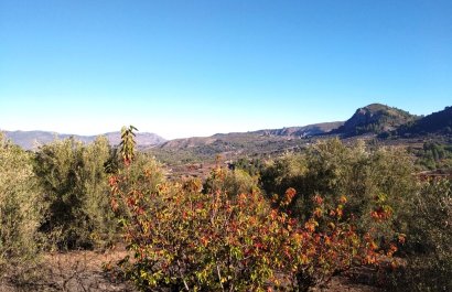 Resale - Plot / Land - Benimarfull