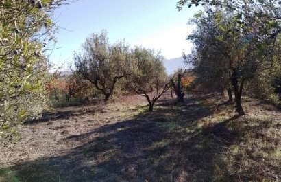 Resale - Plot / Land - Benimarfull