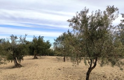 Reventa - Parcela / Terreno - Penáguila
