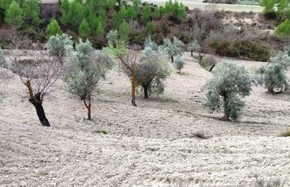 Reventa - Parcela / Terreno - Penáguila