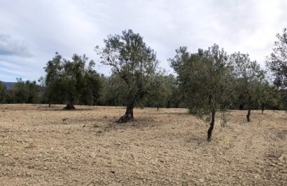 Reventa - Parcela / Terreno - Penáguila