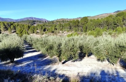 Herverkoop - Perceel / Grond - Planes
