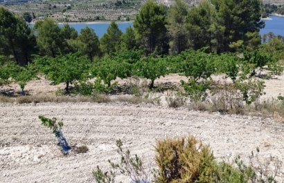 Herverkoop - Perceel / Grond - Planes