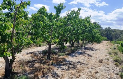 Herverkoop - Perceel / Grond - Planes