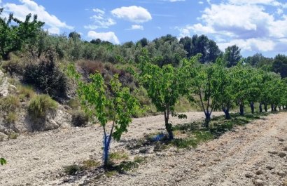 Herverkoop - Perceel / Grond - Planes