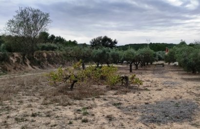 Resale - Country House - Ontinyent