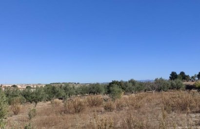 Resale - Country House - Agullent