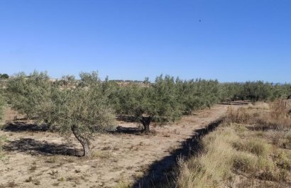 Resale - Country House - Agullent