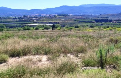 Herverkoop - Country House - Albaida