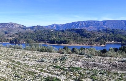 Resale - Plot / Land - Planes