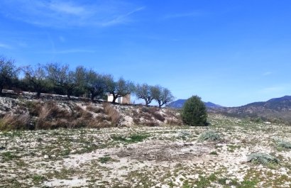 Resale - Plot / Land - Planes