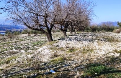 Resale - Plot / Land - Planes