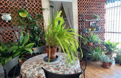 Reventa - Apartamento / piso - Beniarbeig