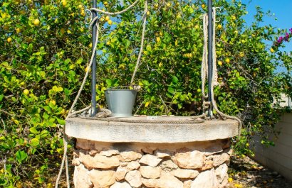 Resale - Villa - Guardamar del Segura - El Raso